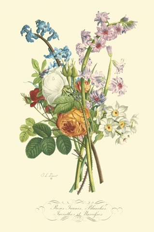 Plentiful Bouquet IV