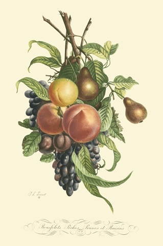 Plentiful Fruits I