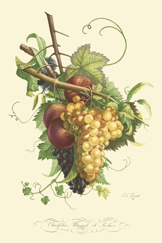 Plentiful Fruits II