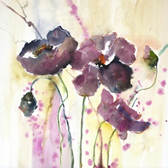 Plum Poppies II