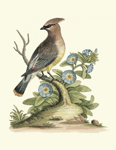 Poised in Nature III