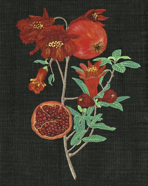 Pomegranate Study I