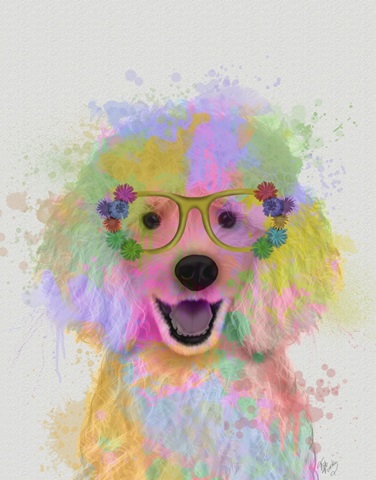 Poodle Rainbow Splash
