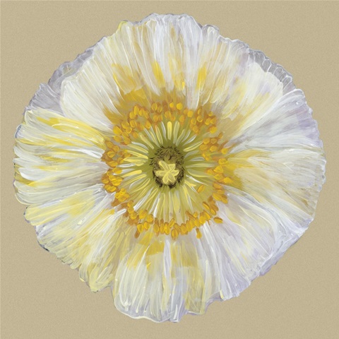Poppy Blossom II