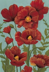 Poppy Promenade I