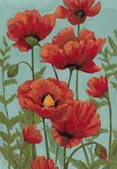Poppy Promenade II