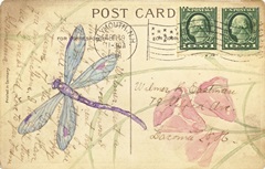 Postcard Dragonfly I