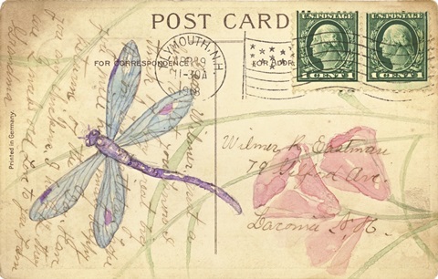 Postcard Dragonfly I
