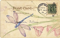 Postcard Dragonfly II
