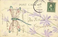 Postcard Dragonfly III