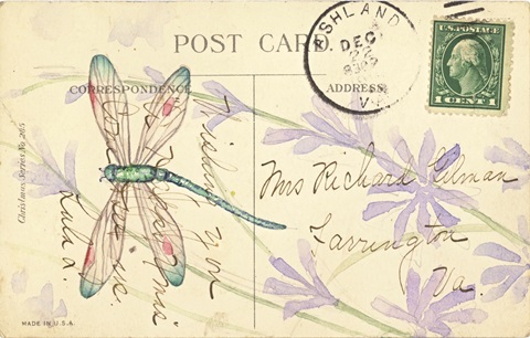 Postcard Dragonfly III