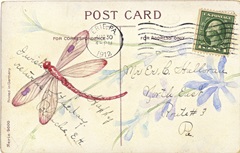 Postcard Dragonfly IV