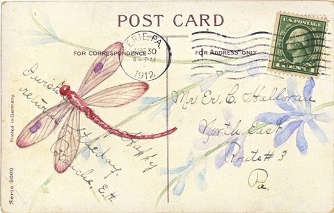 Postcard Dragonfly IV