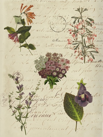 Postscript Flower Chart I