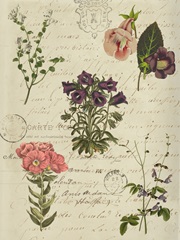 Postscript Flower Chart II