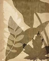 Pressed Leaf Assemblage I