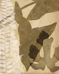 Pressed Leaf Assemblage III