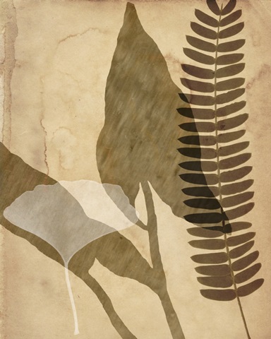 Pressed Leaf Assemblage IV