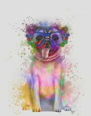 Pug Rainbow Splash