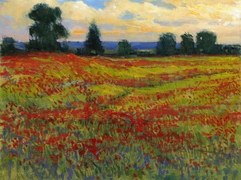Red Field I