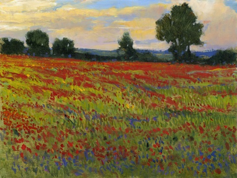 Red Field II