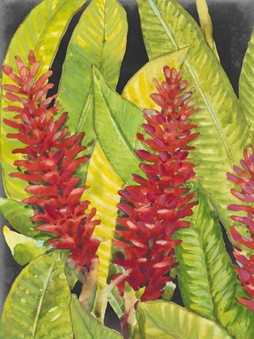 Red Tropical Flowers I