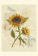 Romantic Sunflower II