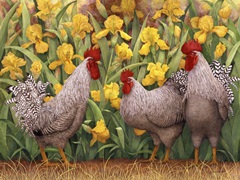 Roosters en Place II