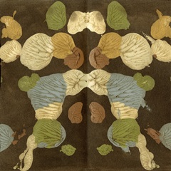 Rorschach Abstract I