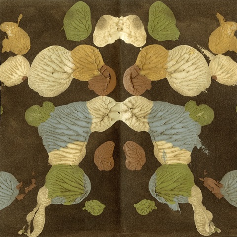 Rorschach Abstract I