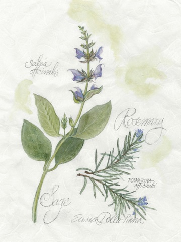 Rosemary and Sage