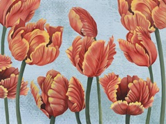 Ruby Tulips I