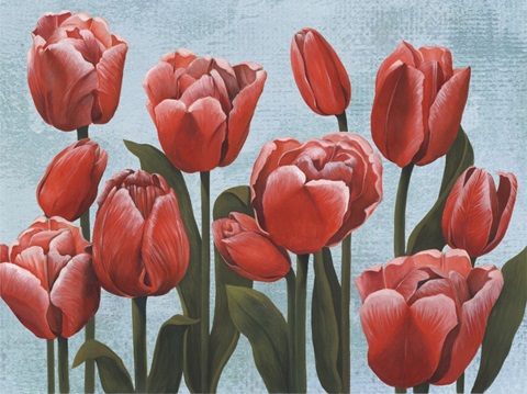 Ruby Tulips II