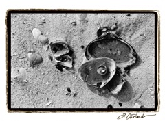 Sand Treasures II