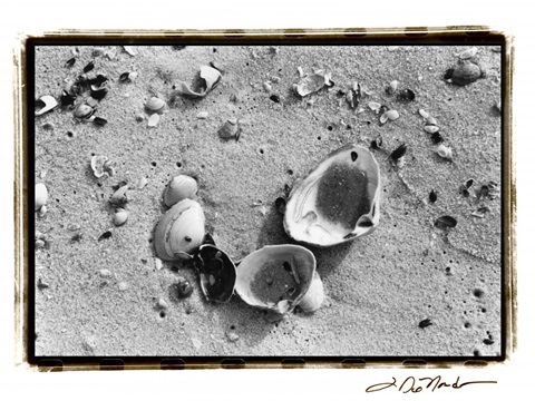 Sand Treasures IV