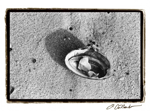 Sand Treasures VI