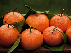 Satsuma Tangerines I