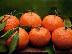 Satsuma Tangerines II