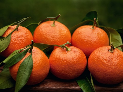 Satsuma Tangerines II