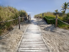 Scene Along the Water IV