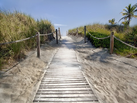 Scene Along the Water IV