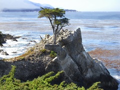 Scene Along the Water VII