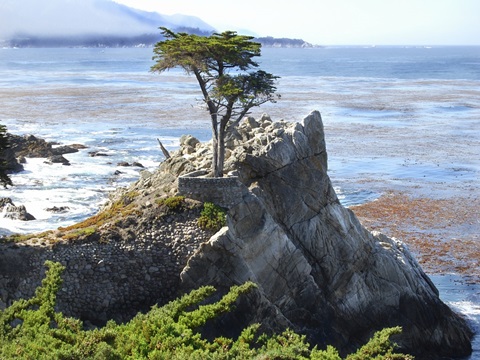 Scene Along the Water VII