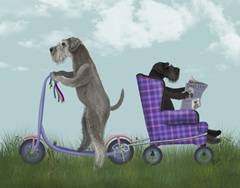 Schnauzer Scooter
