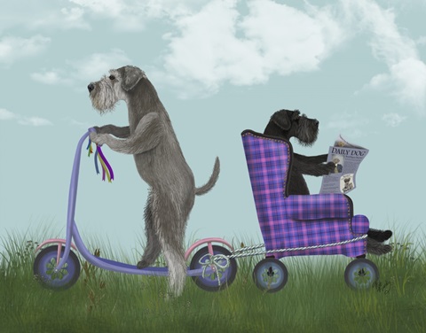 Schnauzer Scooter