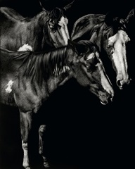 Scratchboard Blaze Buddies