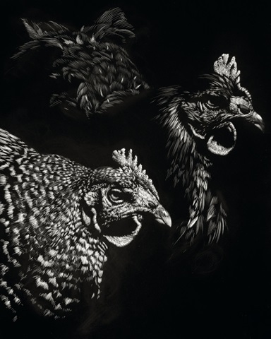 Scratchboard Skeptics