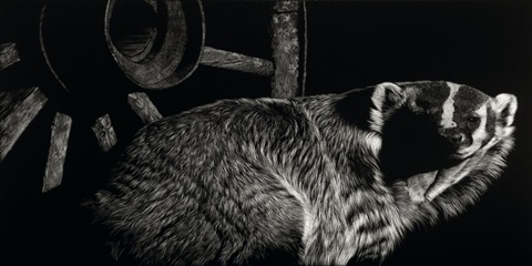 Scratchboard Tenacious