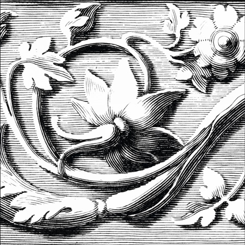 Sculptural Detail III