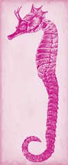 Seahorse Blueprint I
